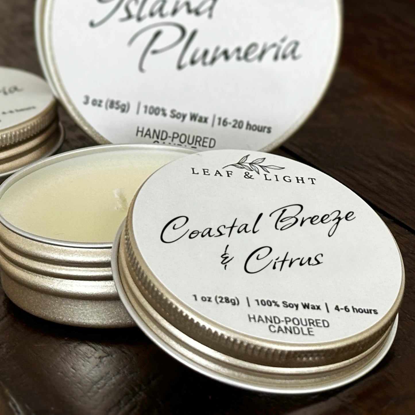 COASTAL BREEZE AND CITRUS | MINI SOY WAX OCEAN CANDLE (1 oz)