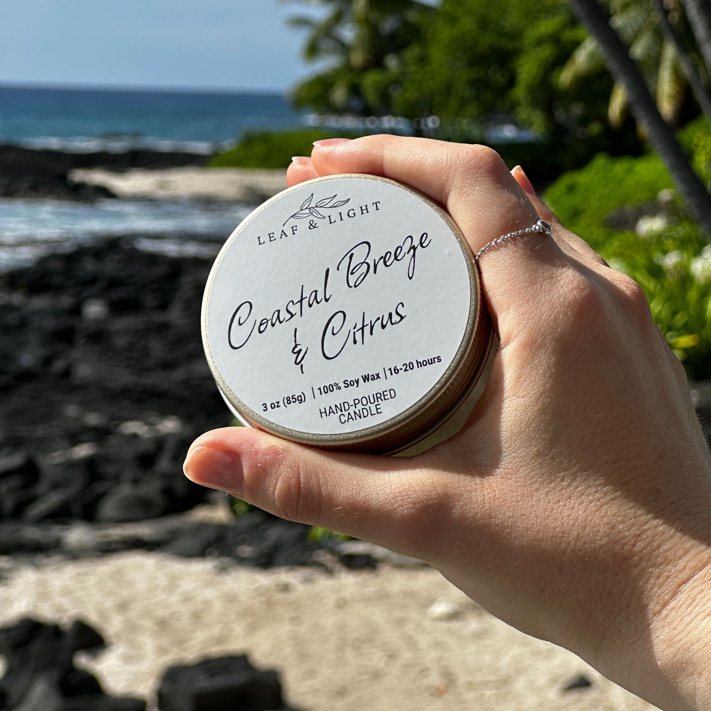 COASTAL BREEZE & CITRUS - SMALL ROOM CANDLE (3 oz)