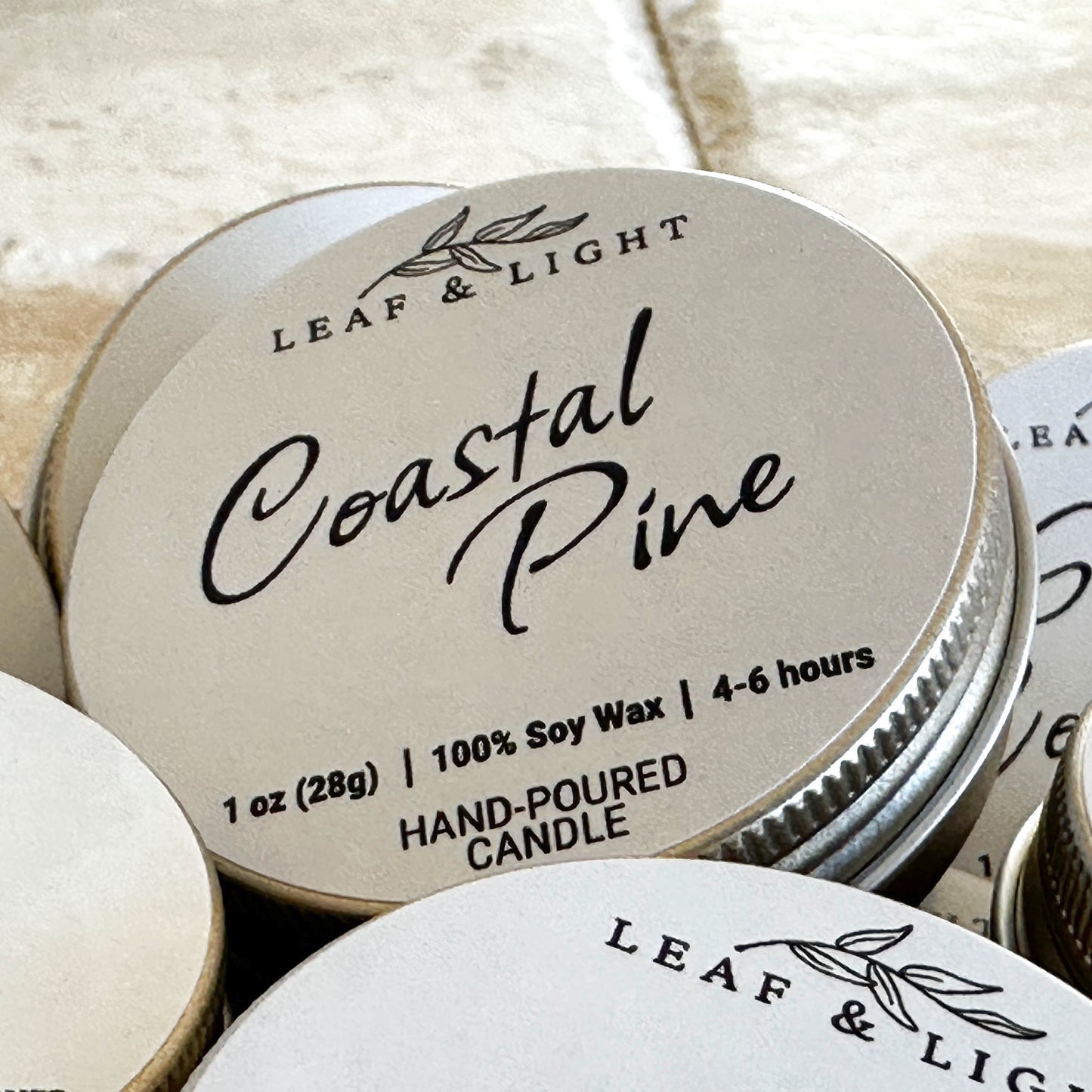 COASTAL PINE | MINI TIN CANDLE (1 oz)