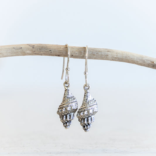 TRUMPET SHELL COASTAL CHARM EARRINGS | SILVER PLATED